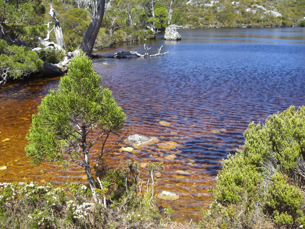 Amber coloured lake