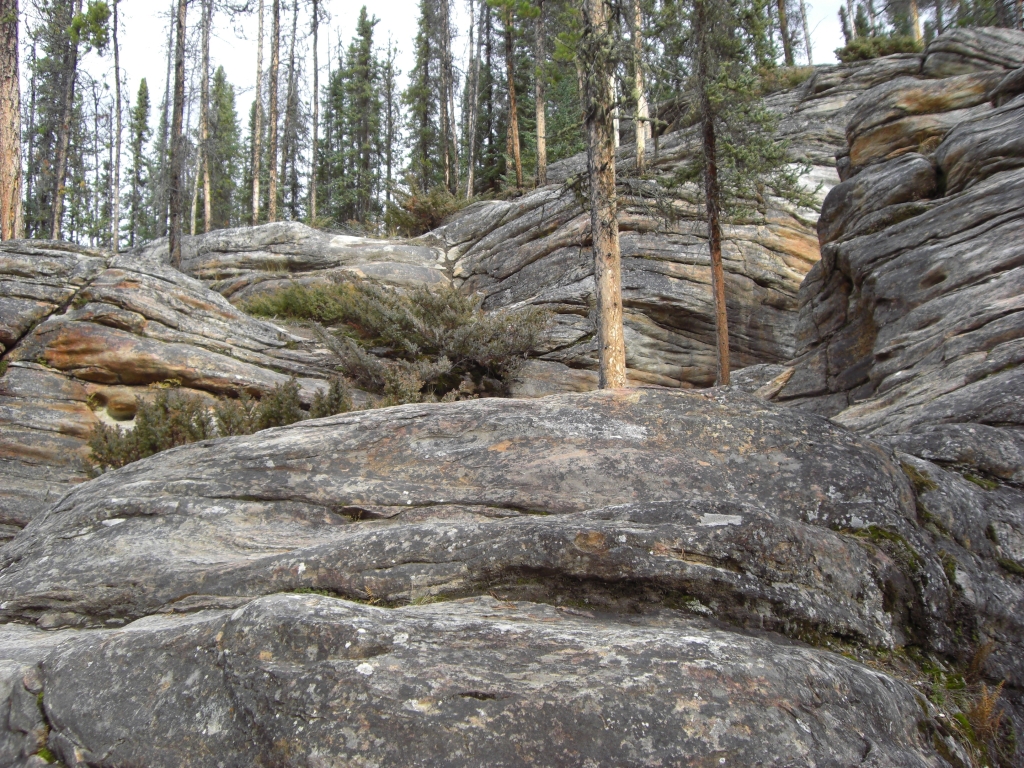 Athabasca Canyon 4