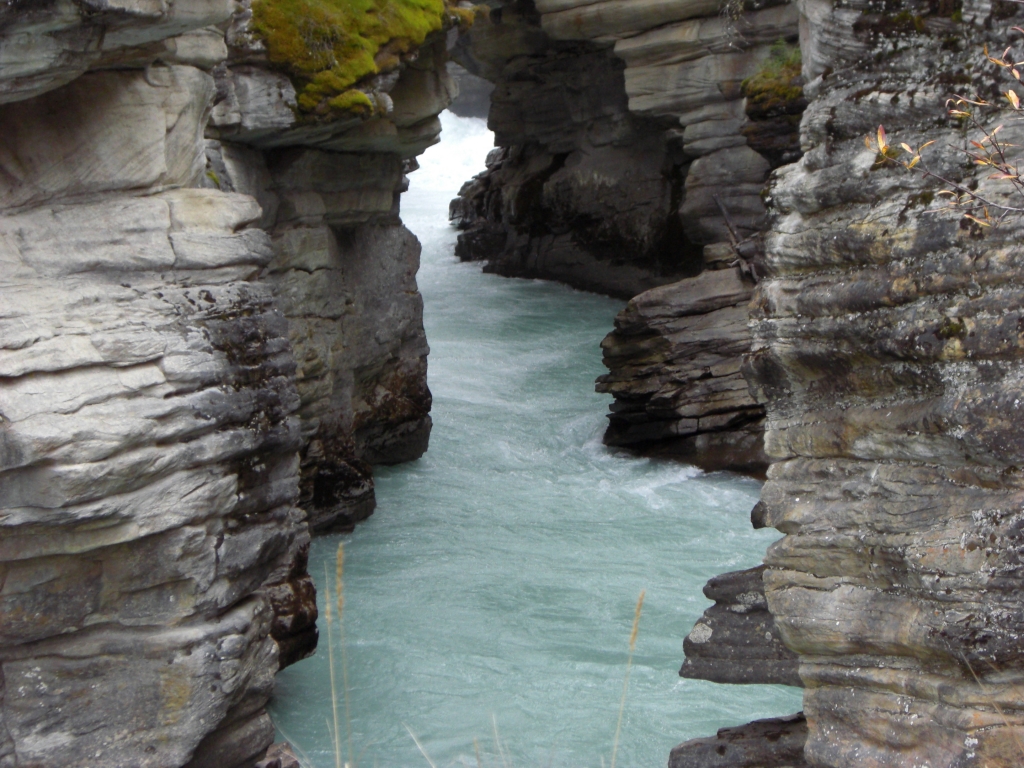 Athabasca Canyon 6