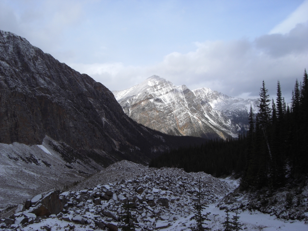 Aussicht vom Mt Edith Cavell