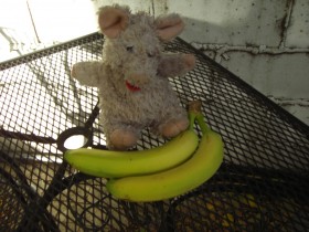 Bananen