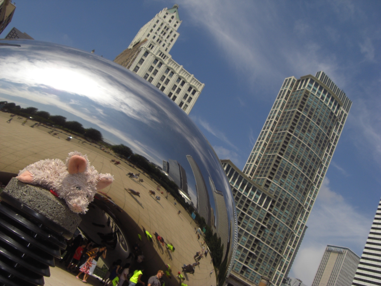 Bean seitlich mit Schnitzel