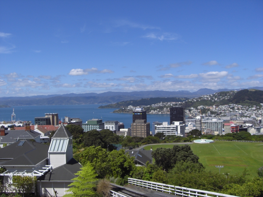 Blick auf Wellington