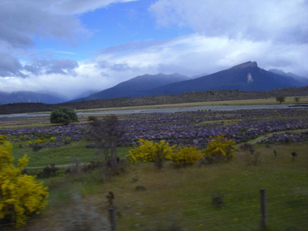 Blick aus dem Busfenster 2