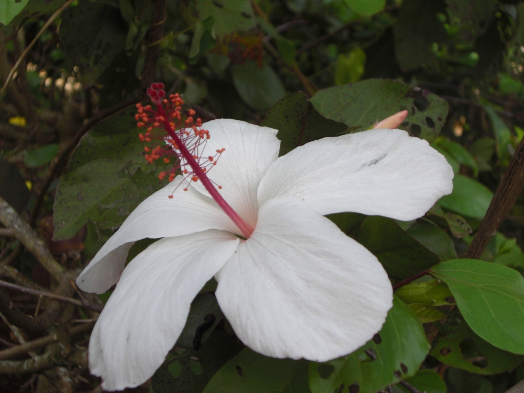 Botanischer Garten 2