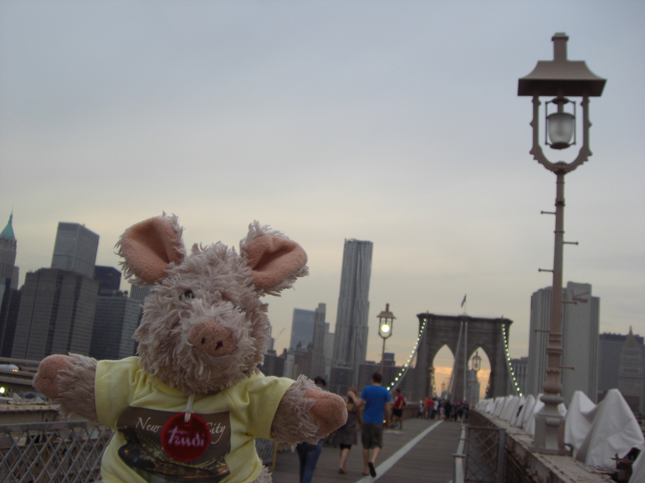 Brooklyn Bridge 3