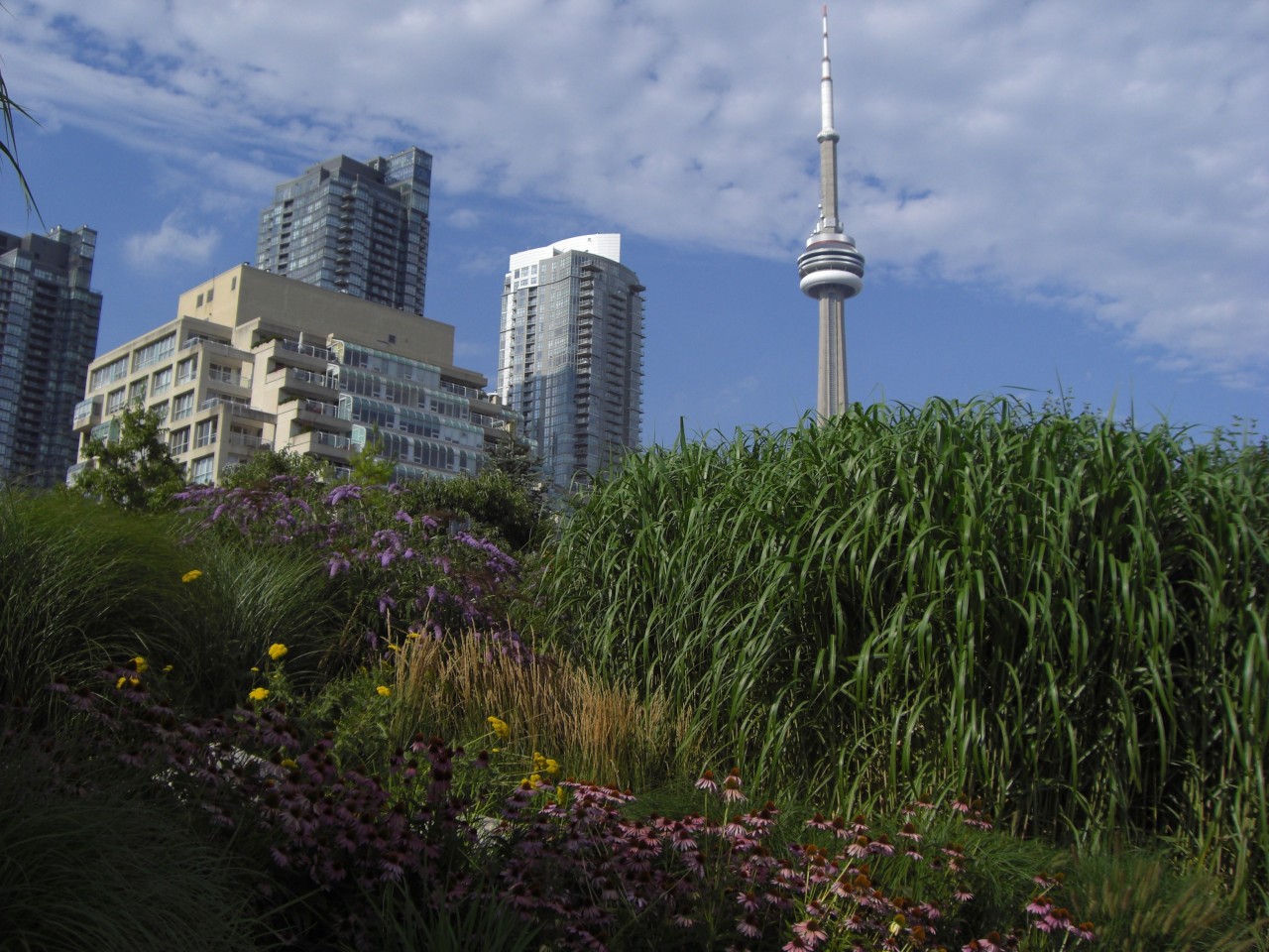 CN Tower