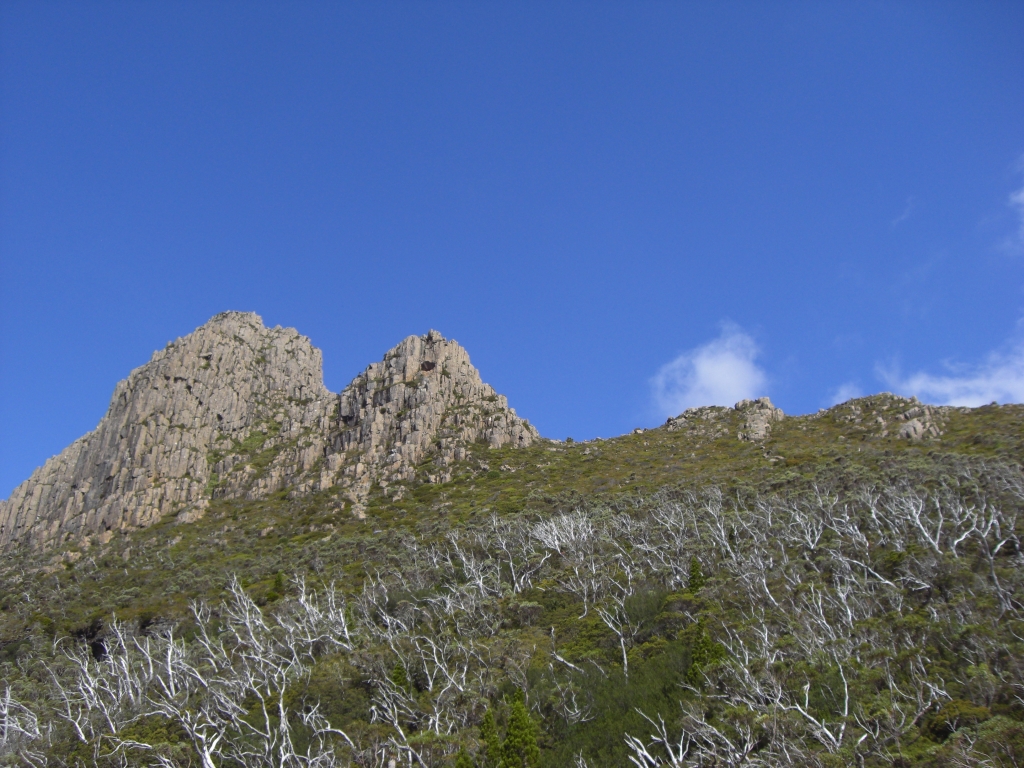 Cradle Mountain National Park 10