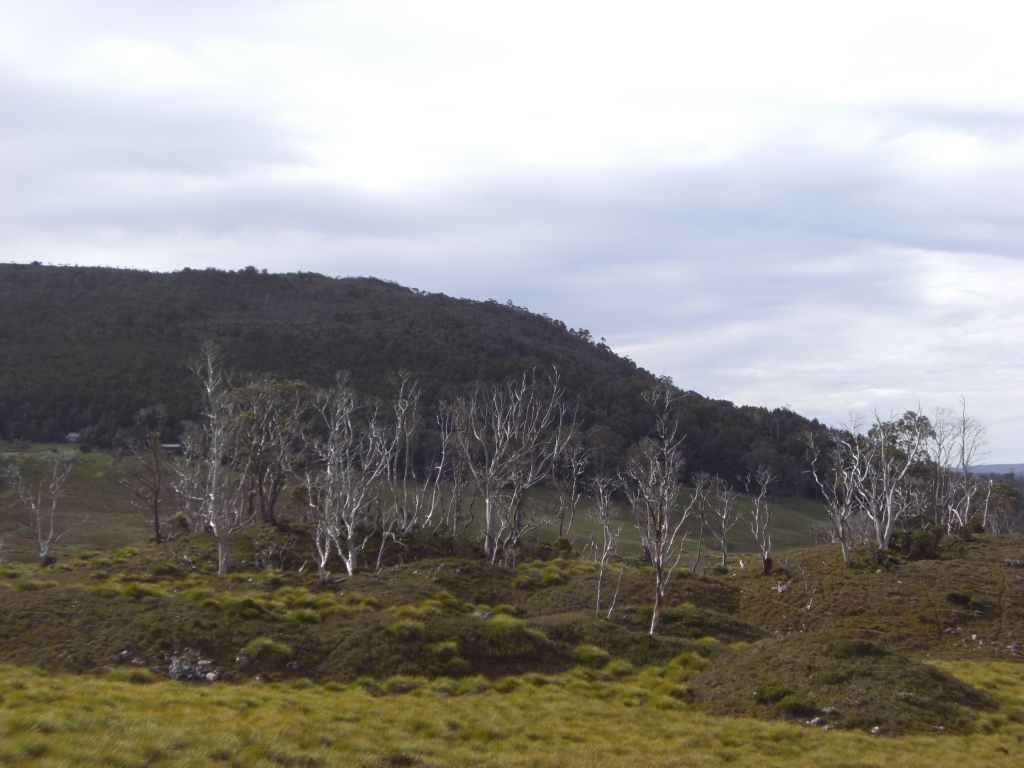 Cradle Mountain National Park 5