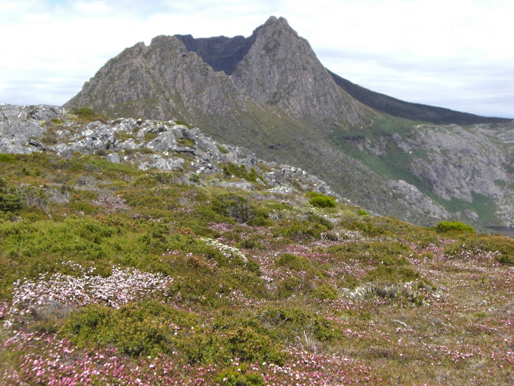 Cradle Mountain National Park 7