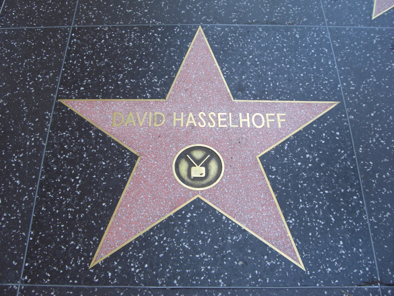 David Hasselhoff