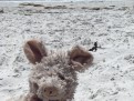 Day on the beach