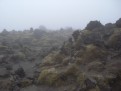 Der Nebel Wird dichter