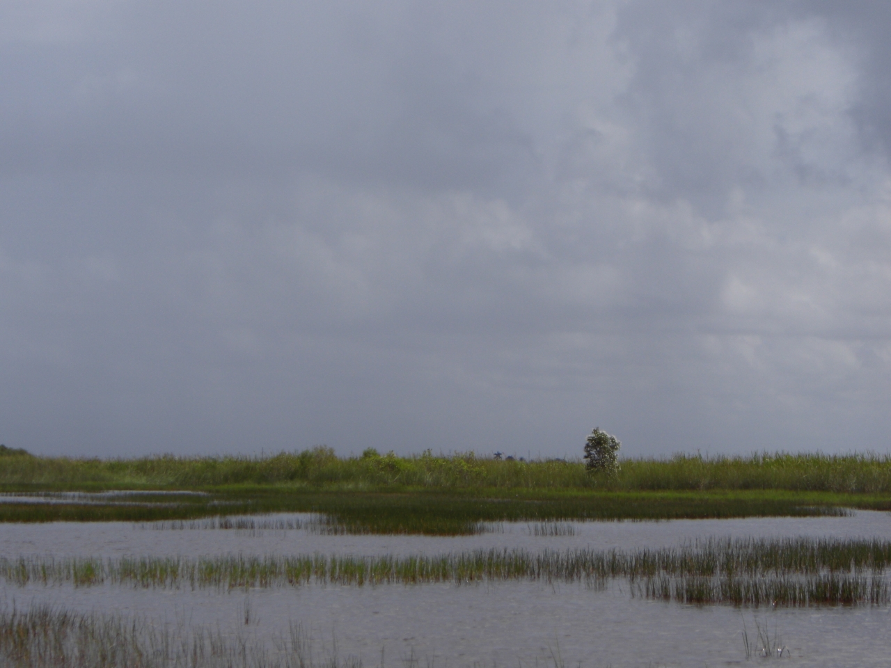 Everglades 3