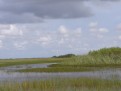 Everglades 4