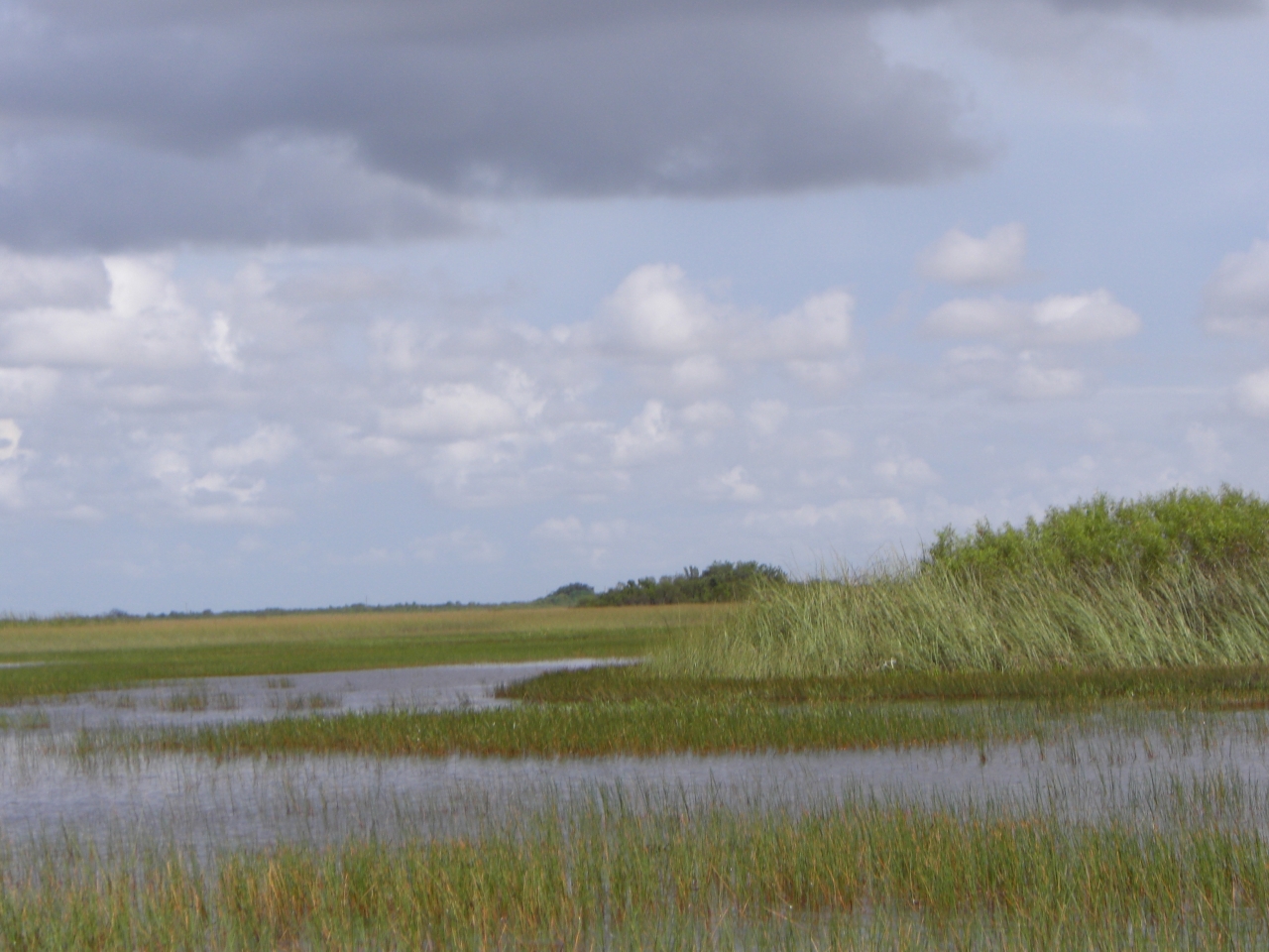 Everglades 4