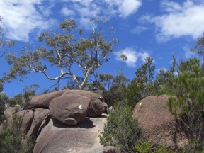 Freycinet National Park 4