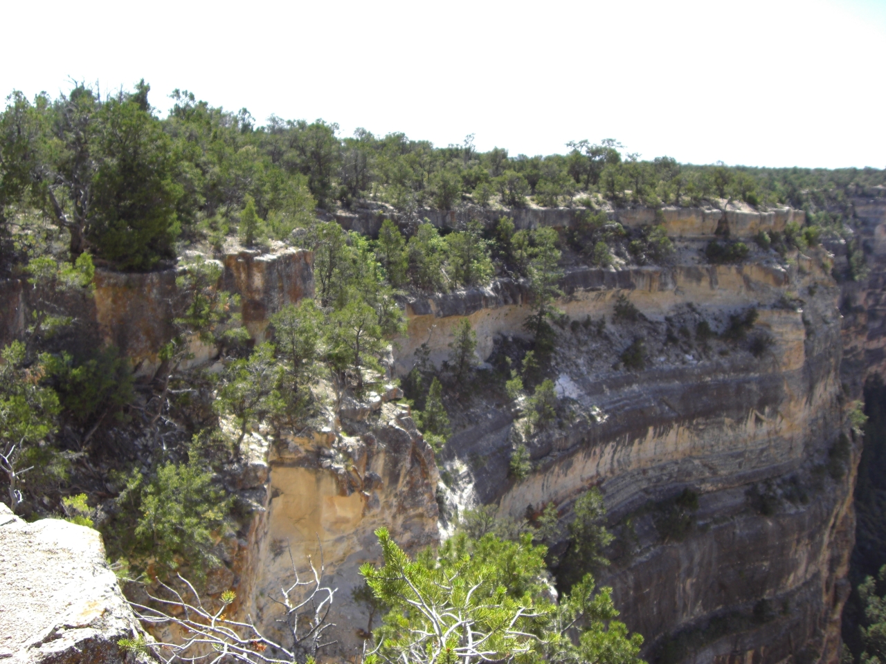 Grand Canyon 3