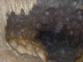 Grotte