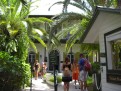 Hemingway House 2