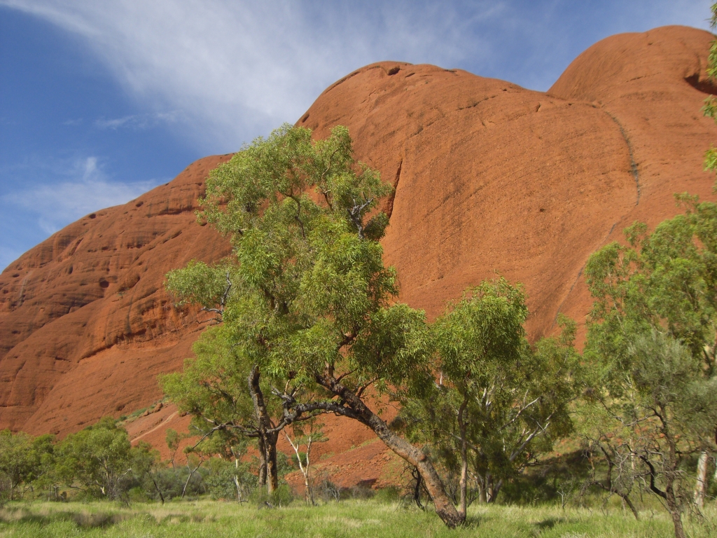 Kata Tjuta 3