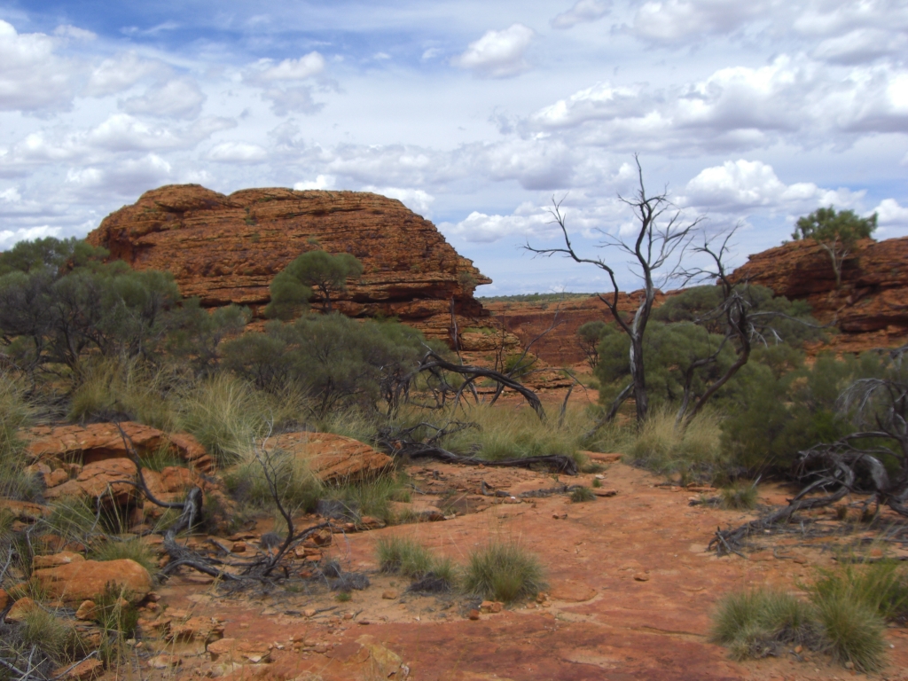 Kings Canyon 4