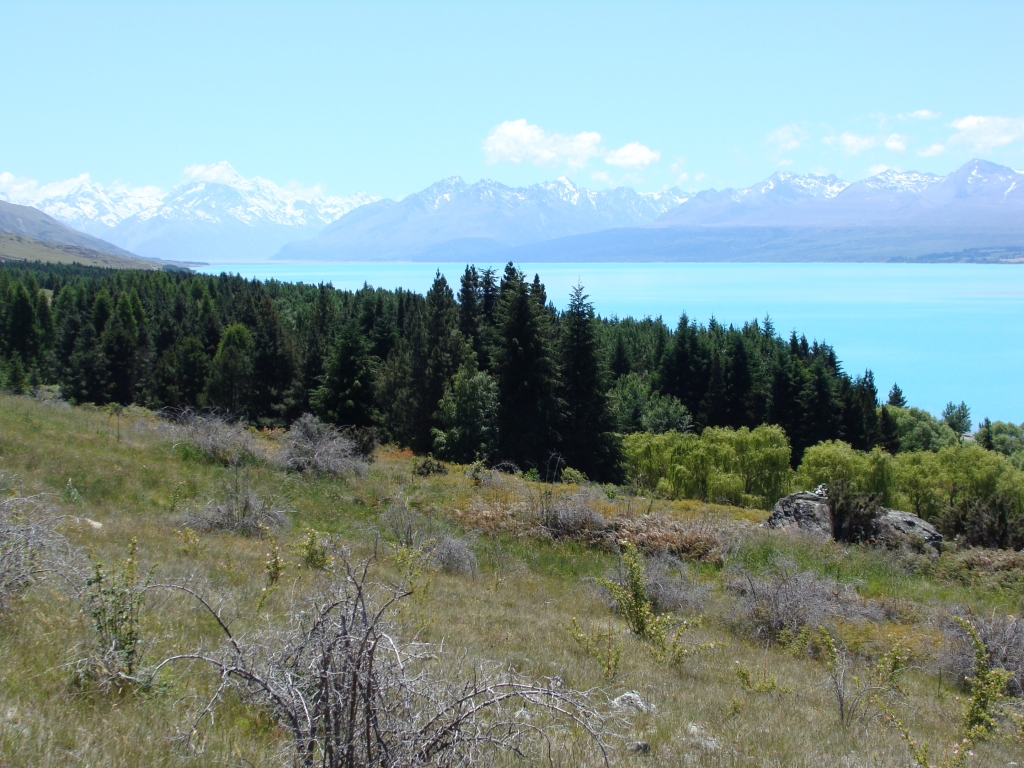 Lake Tekapo 2