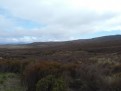 Landschaft