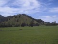 Landschaft
