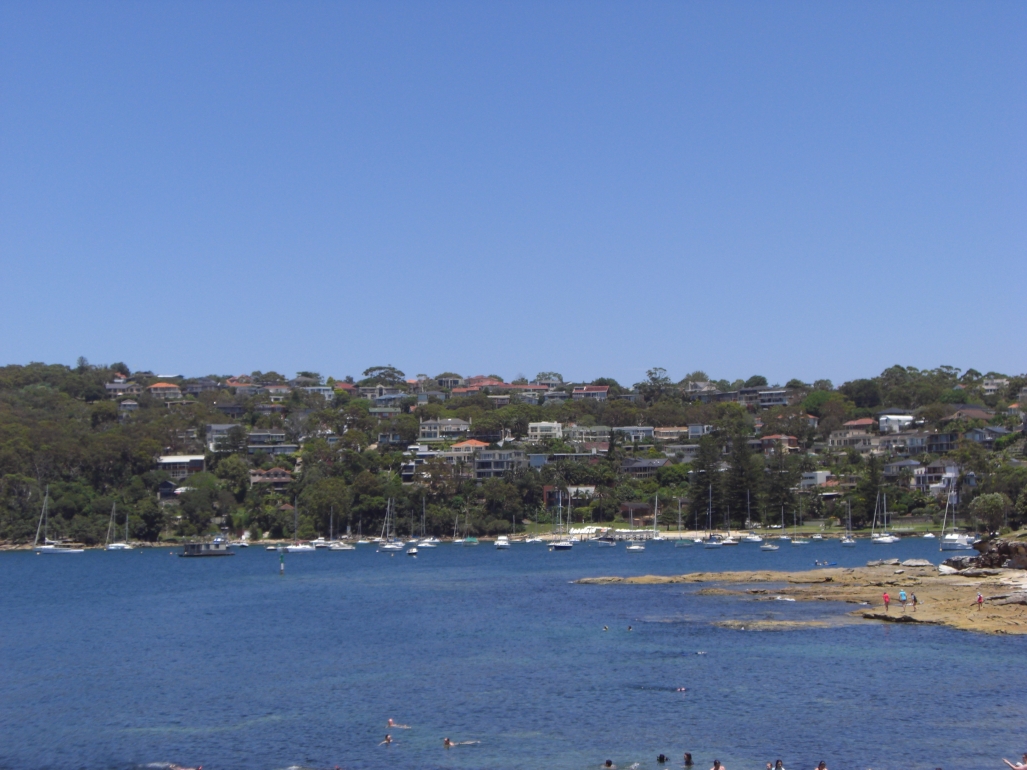Manly Scenic Walk 1