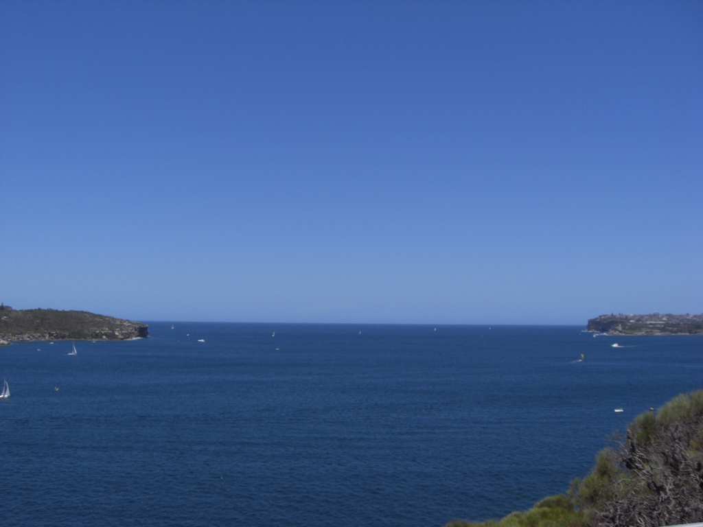 Manly Scenic Walk 3