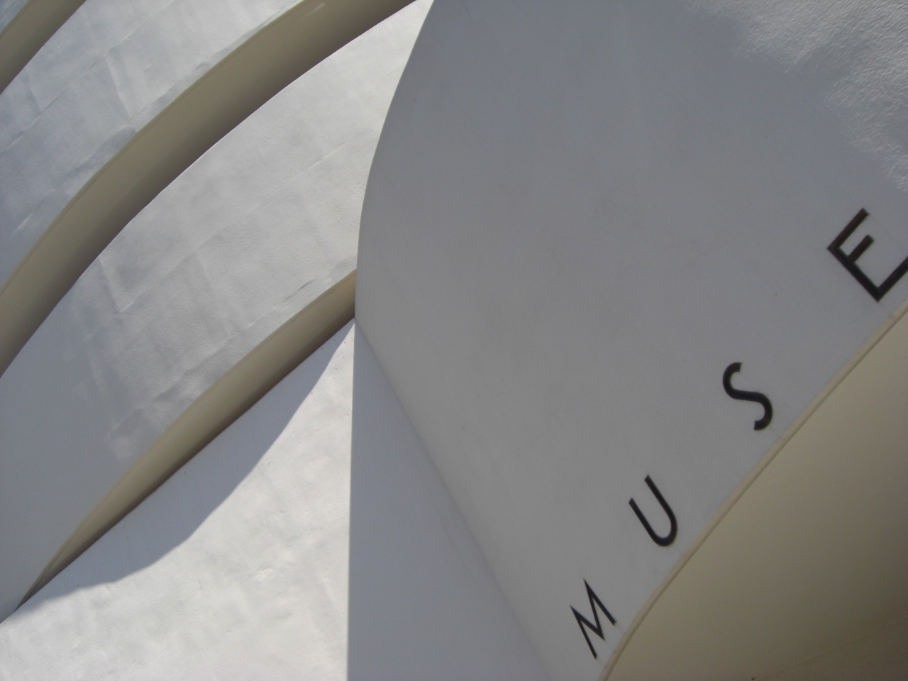 Muse