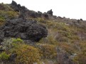 National Park