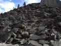 Natur-Chaos