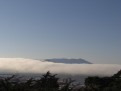Nebel statt Brücke