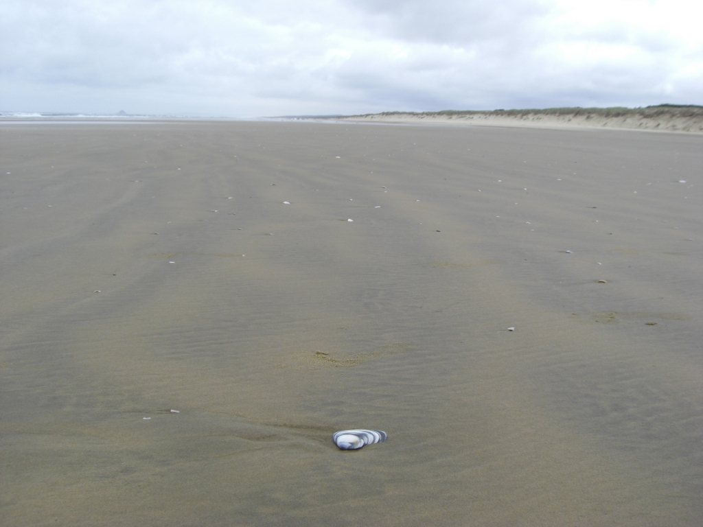 Ninety Mile Beach