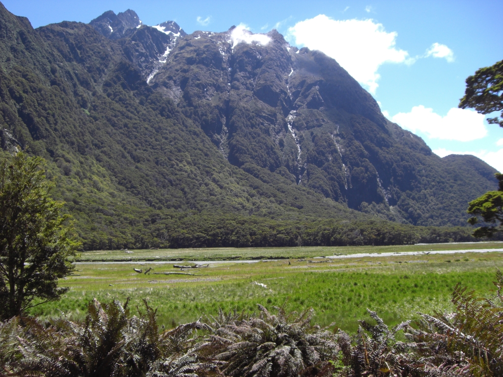 Routeburn Flats