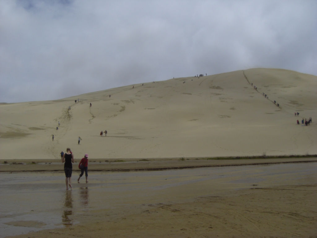 Sand Dune Surfing