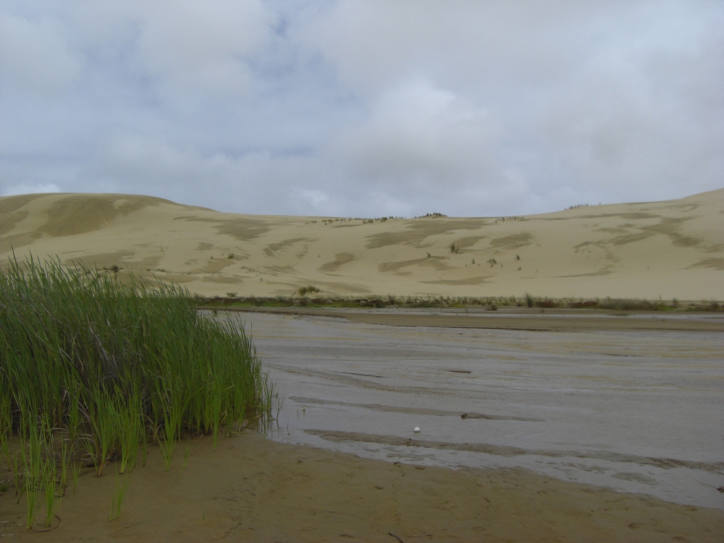 Sand Dunes