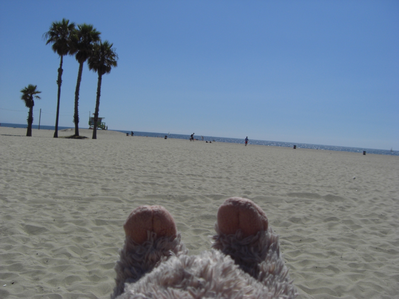 Santa Monica Beach 4