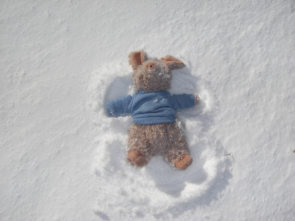 Snow Angel