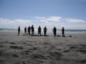Surfing NZ 2