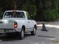 The Pick Up and the Peacock