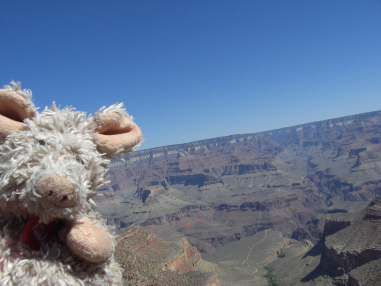 Trudi am Grand Canyon