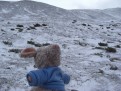 Trudi im Schneesturm