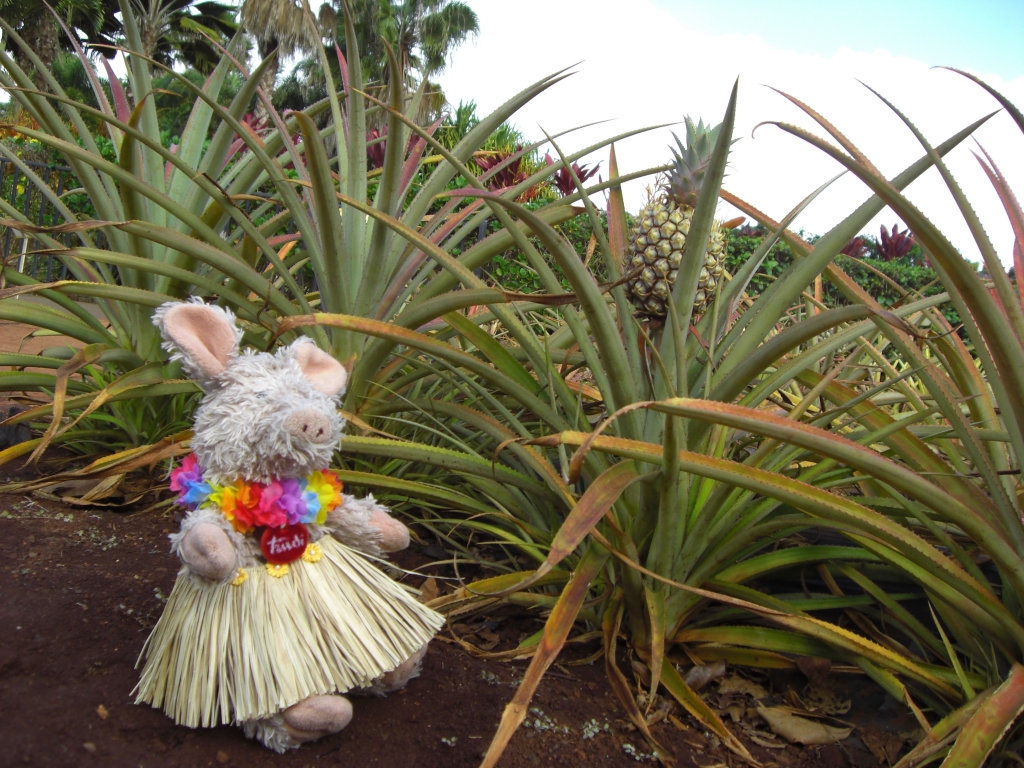 Trudi und Ananas