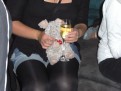 Trudi's Night Out 5