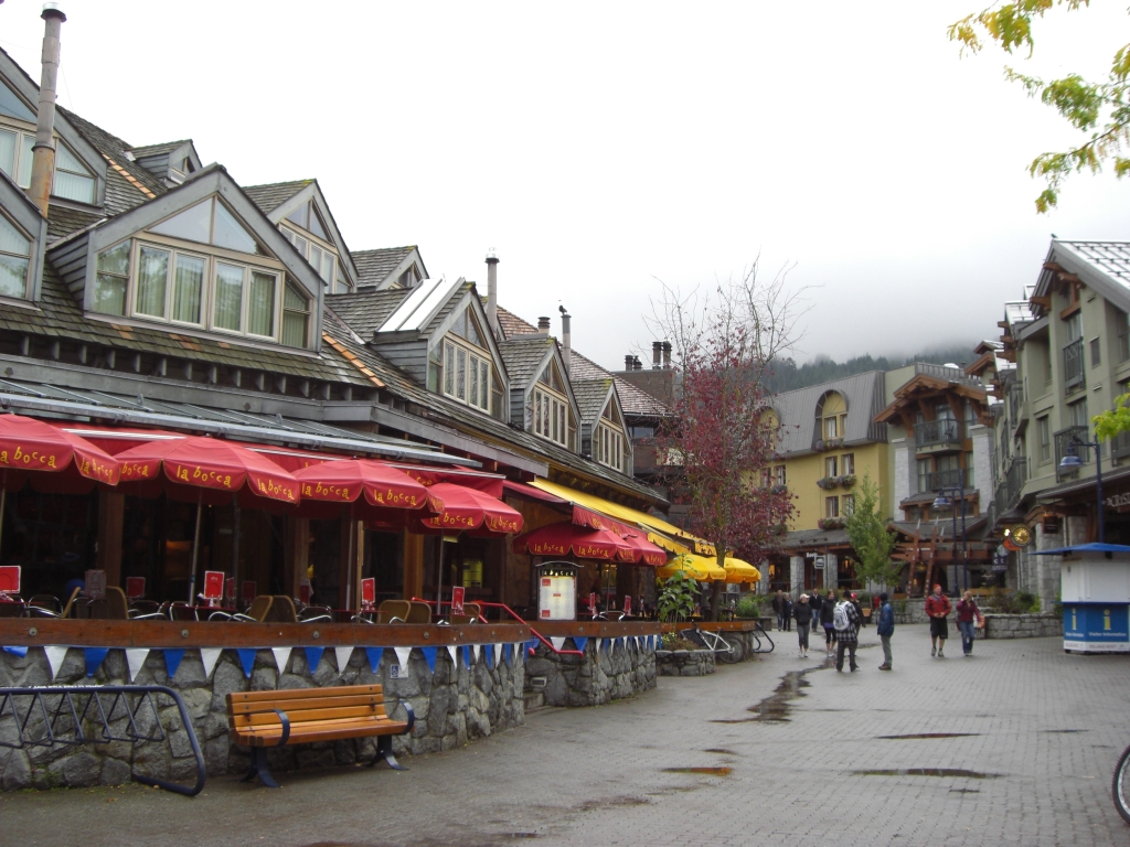 Whistler im Regen 2