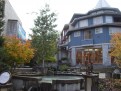 Whistler im Regen 3