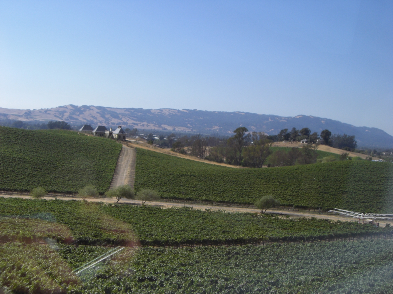 Wine Country 2